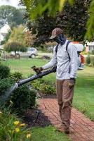 Mosquito Extermination Sydney image 5